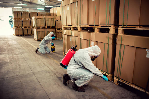 Best Emergency Pest Control  in Pleasant Grove, OH