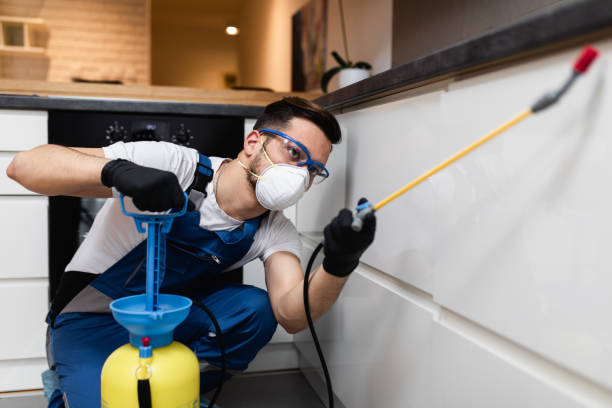 Best Wasp Removal Services  in Pleasant Grove, OH