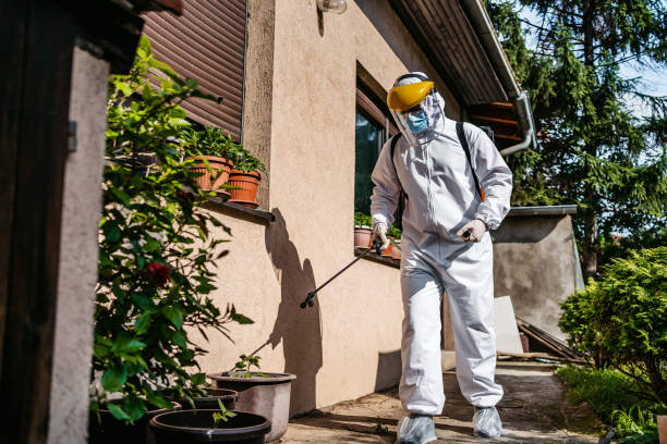 Best Termite Control Services  in Pleasant Grove, OH