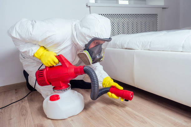 Best Mosquito Control Services  in Pleasant Grove, OH
