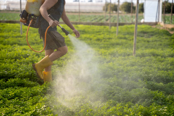 Best Pest Removal Services  in Pleasant Grove, OH