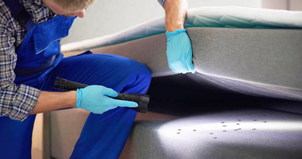 Best Residential Pest Control  in Pleasant Grove, OH
