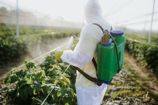 Reliable Pleasant Grove, OH Pest Control Solutions